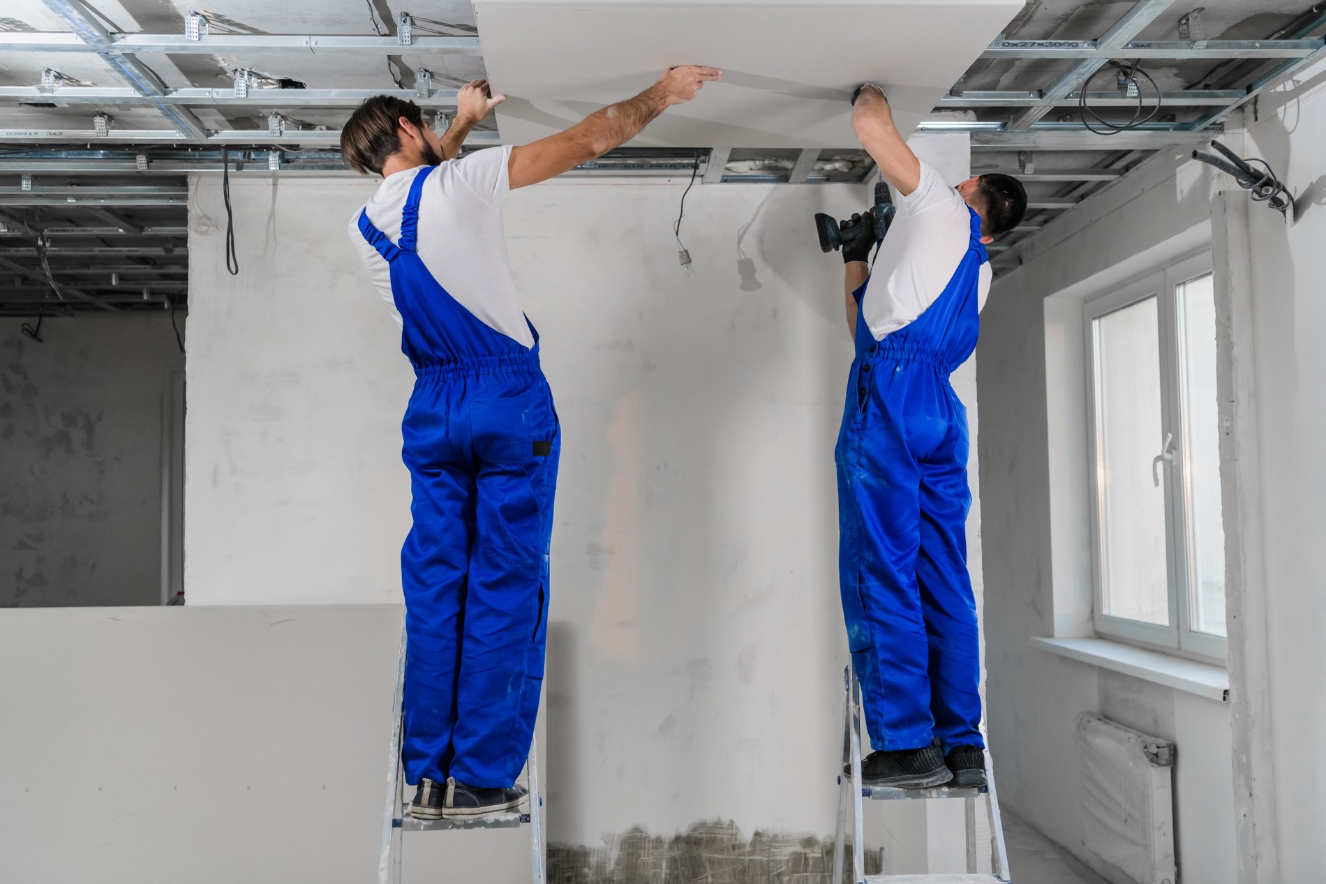 Two workers are making a plasterboard ceiling. They use a drill and ladders couverture